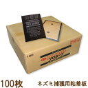★プロボード防水100枚【ネズミ用粘着板、当社でも施工現場で使用している超強力に粘着するネズミ捕り】(ネズミ駆除、ねずみ駆除、ねずみ捕り、粘着板・強力ねずみ粘着...