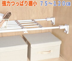 https://thumbnail.image.rakuten.co.jp/@0_mall/pco-iris/cabinet/tuppari/imgrc0081113407.jpg