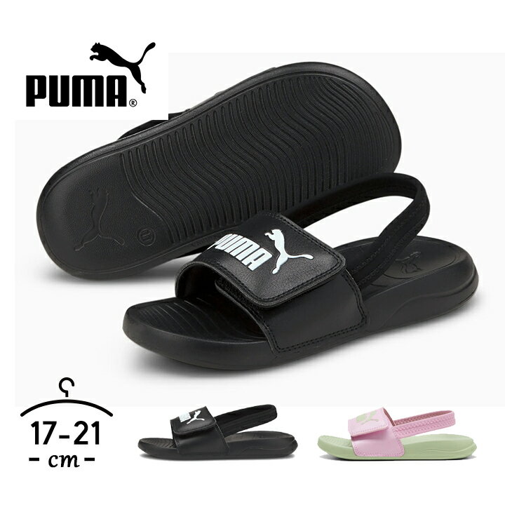 yJ[ǉzLbY X|[cT_ v[} puma j̎q ̎q qC 17cm 17.5cm 18.5cm 19cm 20cm 21cm w  T}[V[Y r[`T_ C {[CY K[Y  j  킢 wZ 380555