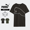 v[} TVc  LbY WjA j̎q ̎q tďH puma  qp gbvX 130cm 140cm 150cm 160cm  w wZ w wZ ^ ̈ Rbg  j  X|[cEFA ubN