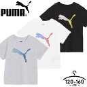 v[} PUMA TVc LbY WjA j̎q t  120cm 130cm 140cm 150cm 160cm q _X X|[cEFA  w w ubN zCg O[