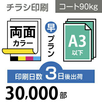 データ印刷 データ出力 ネット印刷 出力 チラシ 刷る プリント 30000枚【チラシ印刷】A3サイズ A3（B4..