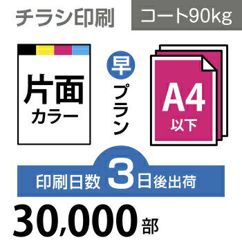 データ印刷 データ出力 ネット印刷 出力 チラシ 刷る プリント 30000枚【チラシ印刷】A4サイズ A4（B5..