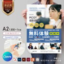 【 Canva 対応★ネット印刷だから安心&簡単】 チラシ 印刷【A2・変形可 】 片面カラー チラシ印刷 オフセット印刷 1000部〜10000部
