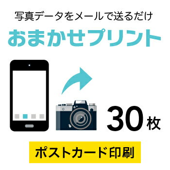 データ印刷 データ出力 ネット印刷 出力 【ミラーコートプラチナ180kg】　30枚■ポストカード（100mm×148mm）　【写真 プリント 赤ちゃ..