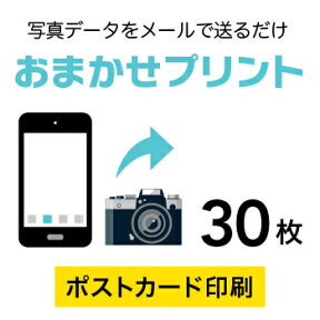 データ印刷 データ出力 ネット印刷 出力 【ミラーコートプラチナ180kg】　30枚■ポストカード（100mm×148mm）　【写真 プリント 赤ちゃん／わんちゃん／ねこちゃん】／片面カラー（出力のみ）／納期：5日後出荷