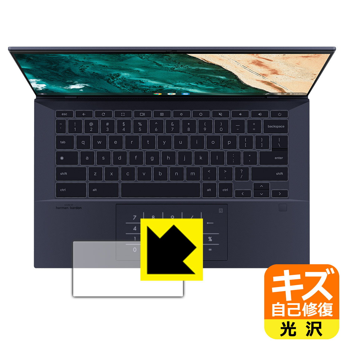 ʽݸե ASUS Chromebook CX9 (CX9400CEA) åѥå  ¤ľ