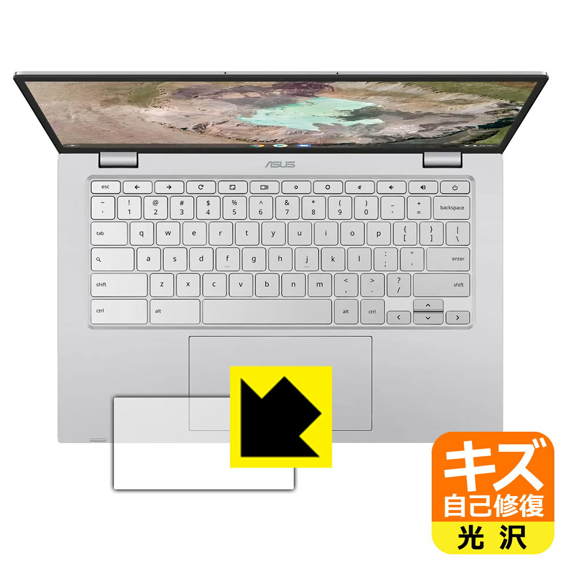 �������ʽ����ݸ�ե���� ASUS Chromebook C425TA (���å��ѥå���) ������ ������¤ľ��