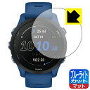 ブルーライトカット【 反射低減 】保護フィルム GARMIN Forerunner 255 Music / Forerunner 255 日本製 自社製造直販