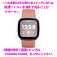 ڡѡ饤ݸե Fitbit Versa 3  ¤ľ