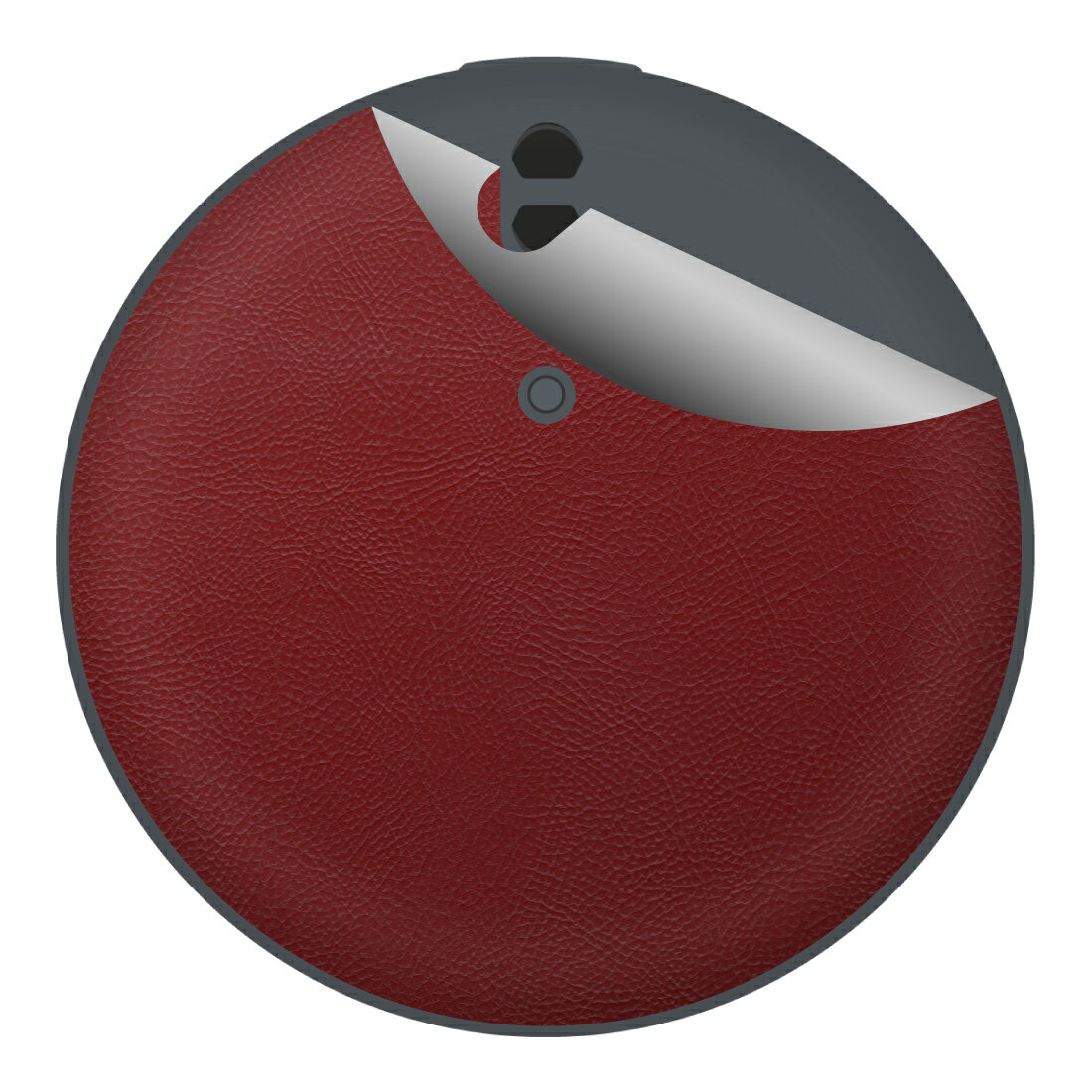 ドレスアップシール Pokemon GO Plus + (ポケモン ゴー プラスプラス) 背面用 【 バラエティシリーズ各種 】 日本製 自社製造直販