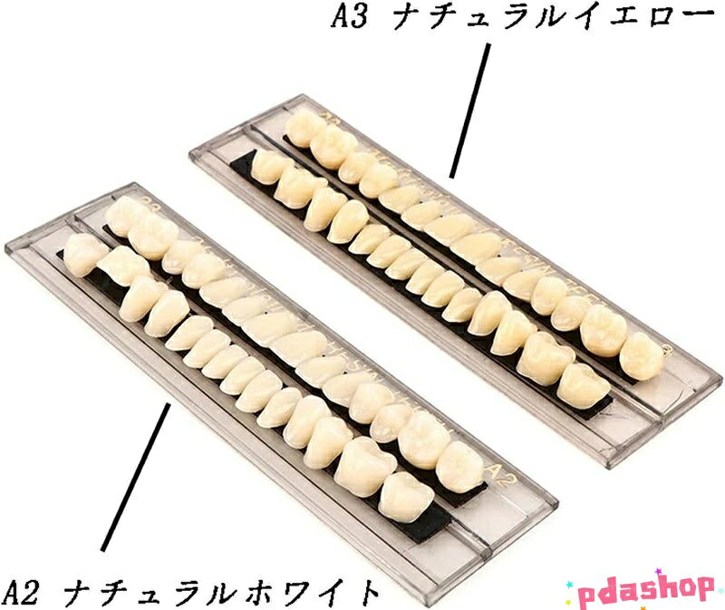 【全品2点で5%OFF】歯 欠けた応急処置 仮歯 入れ歯ケア 歯科用アクリル 樹脂 THKJ 義歯キット ハロウィンホラーの小道具 ホワイト義歯23 アップ＆ダウン歯科 2
