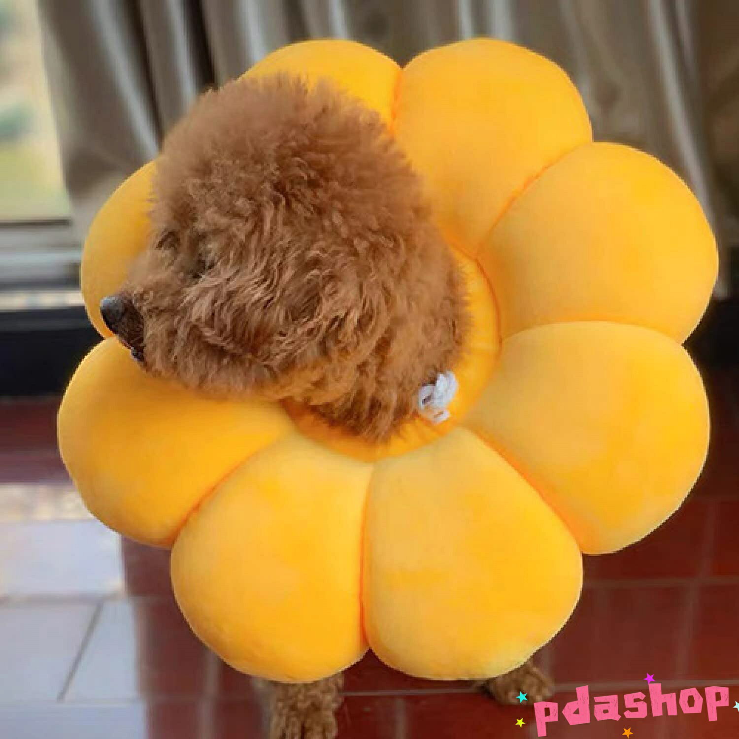 ������2����5%OFF�ۥ��ꥶ�٥����顼 ǭ�� ���� �ڥå����� ���Ӥ��ɻ� ������� �Ҥޤ�귿 Ĵ���ǽ ���餫�� ���� �̵��� �����ݸ�ʥ�������S/����������