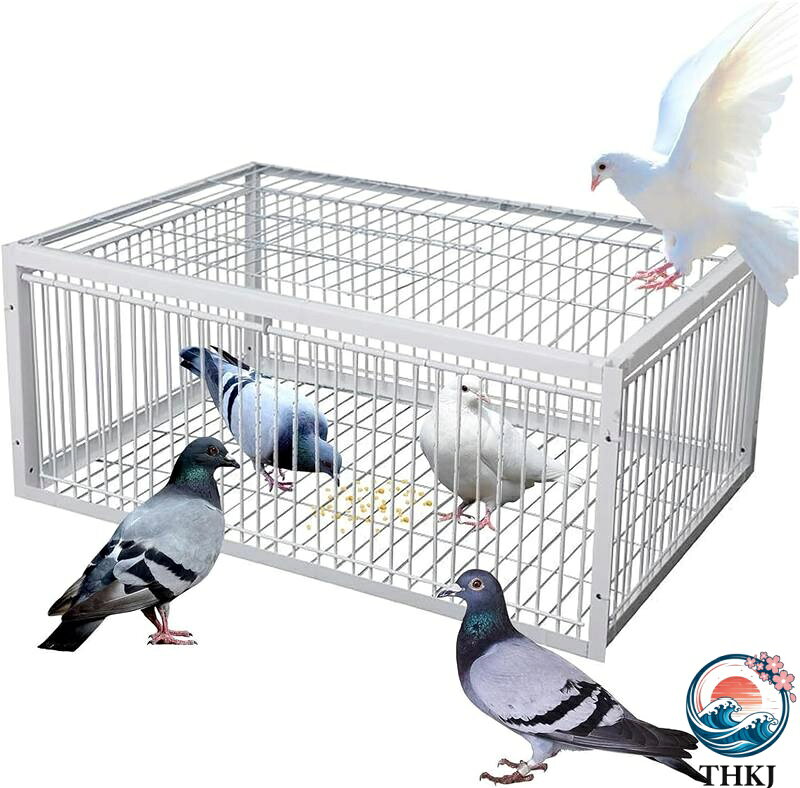 【全品5%ポイント】自動鳩捕獲器 片道入口付き 脱出防止設計 屋外 鳩かご 鳩捕り籠...