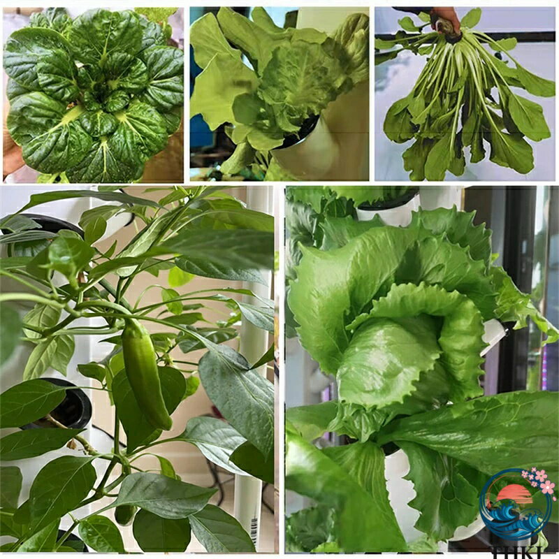 【全品2点で5%OFF】水耕栽培タワー 水耕栽培 屋外 屋内 垂直ガーデン ポンプと可動水タンク付きスマートガーデンキット ガーデニング愛好家への野菜植物ギフト