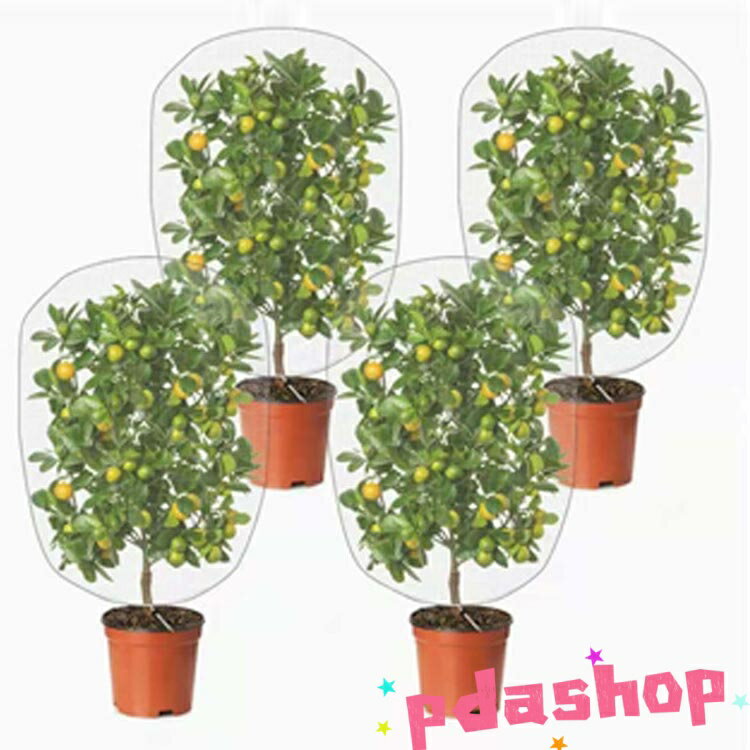 【全品5%ポイント】ベランダ 鉢植え用 防鳥ネット 防虫ネット 園芸用ネット THKJ ...