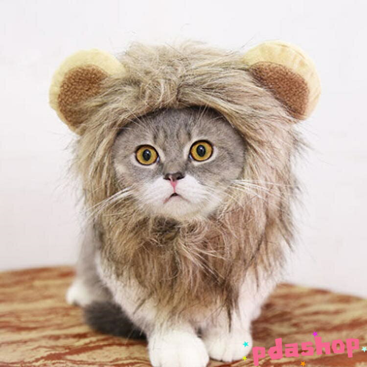 【全品5%ポイント】ライオン 猫 被り物 ねこ...の紹介画像3