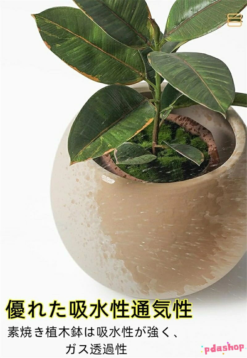 【全品5%ポイント】鉢 植木鉢 陶器鉢 排水穴トレイ付き ミニプランター 北欧風 THK...