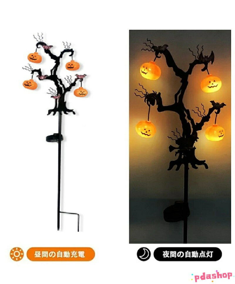 ������2����5%OFF�ۥϥ������� ���� �����ǥ�饤�� �����顼 ���ܥ���饤�� �����顼�饤�� ���� �ɿ� ���� ����ߥ͡������饤�� �����߼� ��ּ�ư���� ����