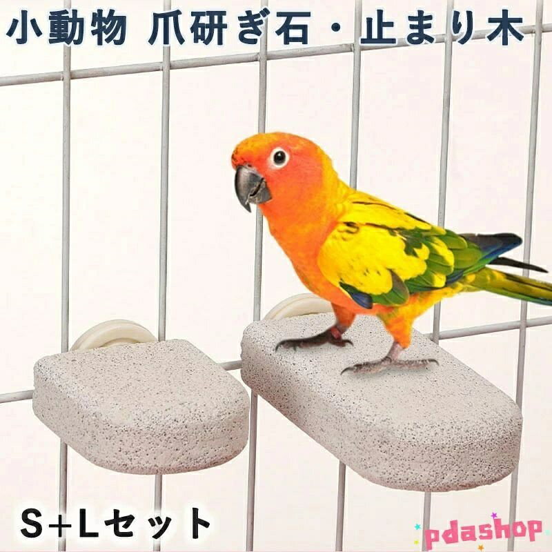 Rakuten - 【全品5%ポイント】モモンガ ハムスター 爪研ぎ 小動物ステップ 軽石 かじり木 鳥止まり木 小動物おもちゃ