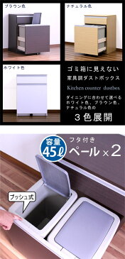 ゴミ箱 ダストボックス ごみ箱 国産 木製 2分別 45リットル x2 ふた付き 幅65cm 横型 ナチュラル ブラウン ホワイト 選べる3色 キャスター付き ダスト カウンター 45l 大容量 見えない おしゃれ キッチンカウンター レンジ台 キッチン収納 完成品 送料無料