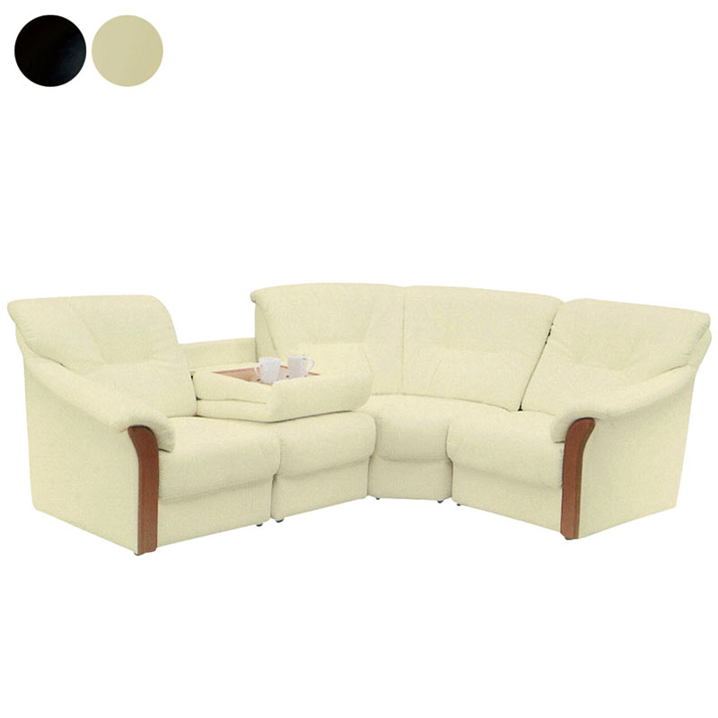 送料無料 (但し、北海道・東北地方・沖縄・離島は別途送料が必要です) 別途　東北地方：￥12,000　北海道：￥17,000 別途送料はご注文確認後加算した金額に訂正させていただきます。■北海道と東北地方へのお届けには、10日以上お時間を頂...