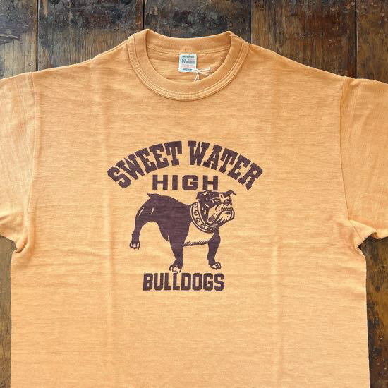 WAREHOUSE & CO.ウエアハウスLot 4601 SWEET WATERメンズ レディース Tシャツ