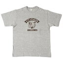 WAREHOUSE CO. ウエアハウスLot 4601 STEVENSONTシャツ メンズ レディース