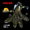 めだかの卵 フロマージュ 40個+α ロングフィン 本場広島産 ピースガーデン 改良 メダカ 黄色 オレンジ 体色