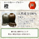 天然100%ヘナ＆ハーブ　エムズハーブ橙（だいだい）100g ヘナとインディゴ＋6種のハーブ 白髪 生え際 黒く 白髪染 髪染め 若白髪 髪染める 染める 毛染め 2