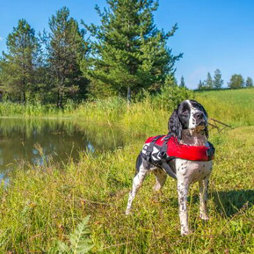 【EZYDOG】新東亜交易 イージードッグ DFDスタンダード 犬用ライフジャケット L 各色
