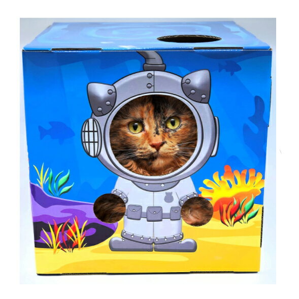 DOYENCATۡFANBOXǭȢեܥåޤȤդ[ݡ]