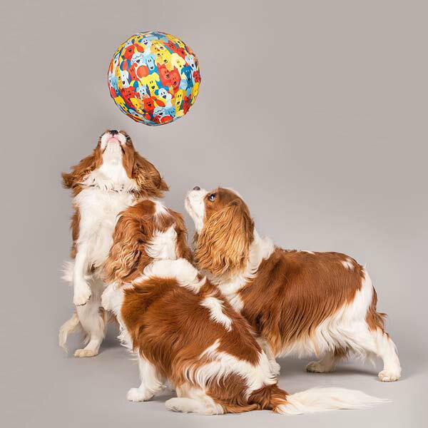 ちょっと大きなテニスボール（3ヶセット）【犬用おもちゃ】＜あす楽対応＞