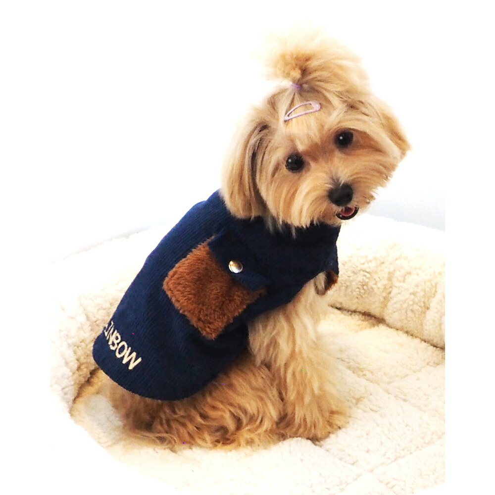 【レインボー】　コーデュロイジャケット　【AW_wear】