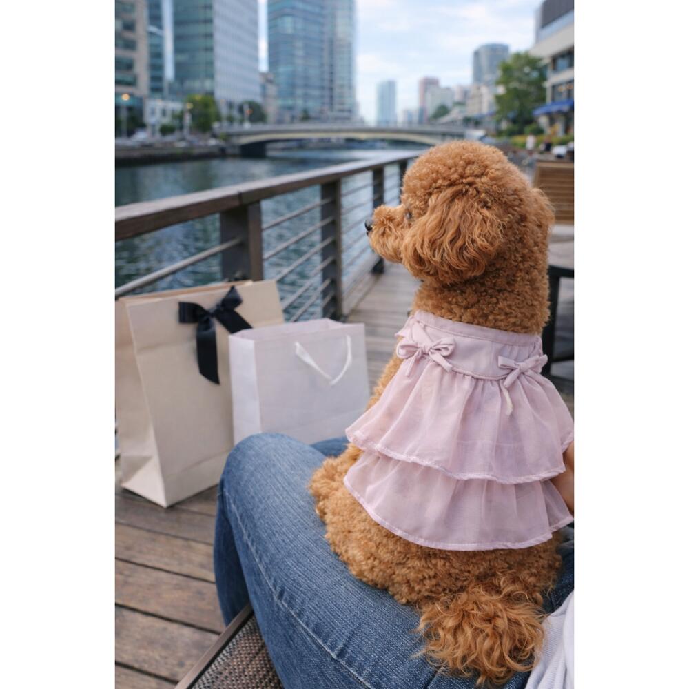 Rakuten - 【単品注文送料無料】【レインボー】　さらさらシフォンワンピ　【SS_wear】