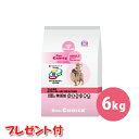 【ドクターズチョイス】アダルト 成犬用 中粒 6kg 【プレゼント付】【HLS_DU】 ドッグフード ペット フード