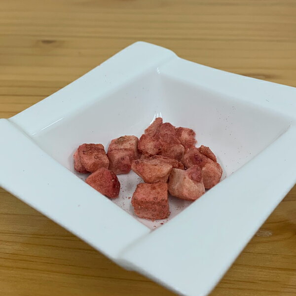 【ドクターズチョイス】　納豆菌　フリーズドライ　いちご　8g