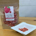 【ドクターズチョイス】 納豆菌 フリーズドライ いちご 8g