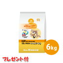 【ドクターズチョイス】ライト 体重管理用　中粒　6kg　【プレゼント付】【HLS_DU】 ドッグフー ...