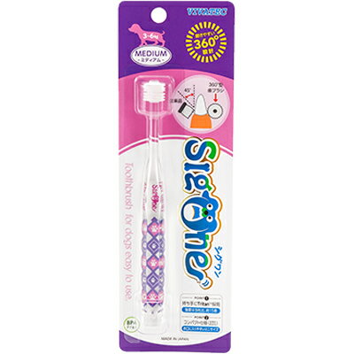 []ڥӥХƥåۥ󡡥ѥȻ֥饷ߥǥ