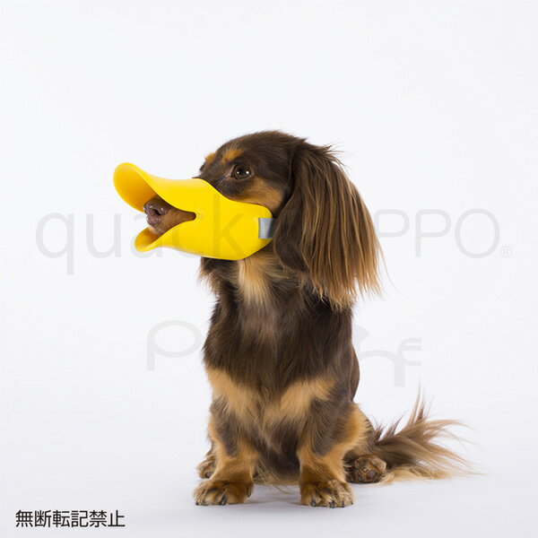 【オッポ】OPPO　シリコン口輪　quack　クアック　SMサイズ