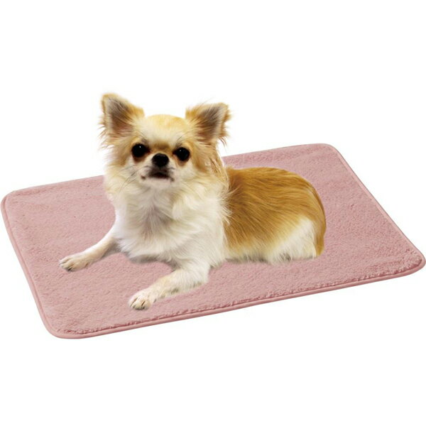 [本]【マルカン】　抗菌ふわふわ毛布　レギュラーのサムネイル