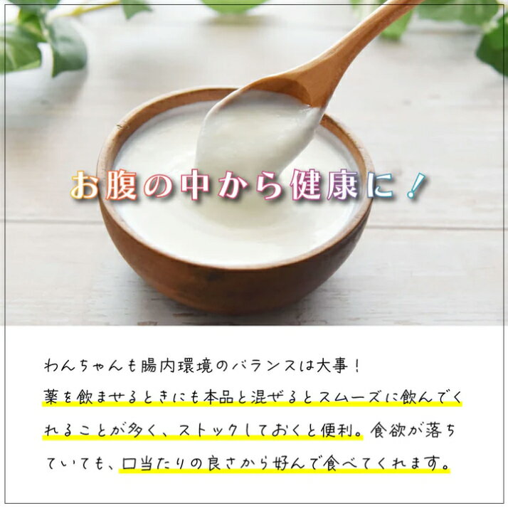 【ファンタジー】 フィドベット ヨ-グルト ス...の紹介画像3