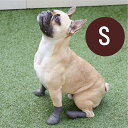【ピカ】 パウテクト Sサイズ(2足入り) 各カラー