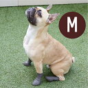【ピカ】 パウテクト Mサイズ(2足入り) 各カラー