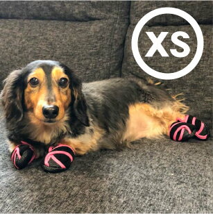 【ピカ】　いぬたび　XSサイズ　各カラー