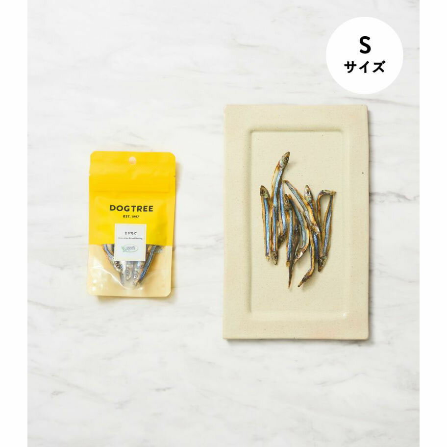 【ドッグツリー】　きびなご　S