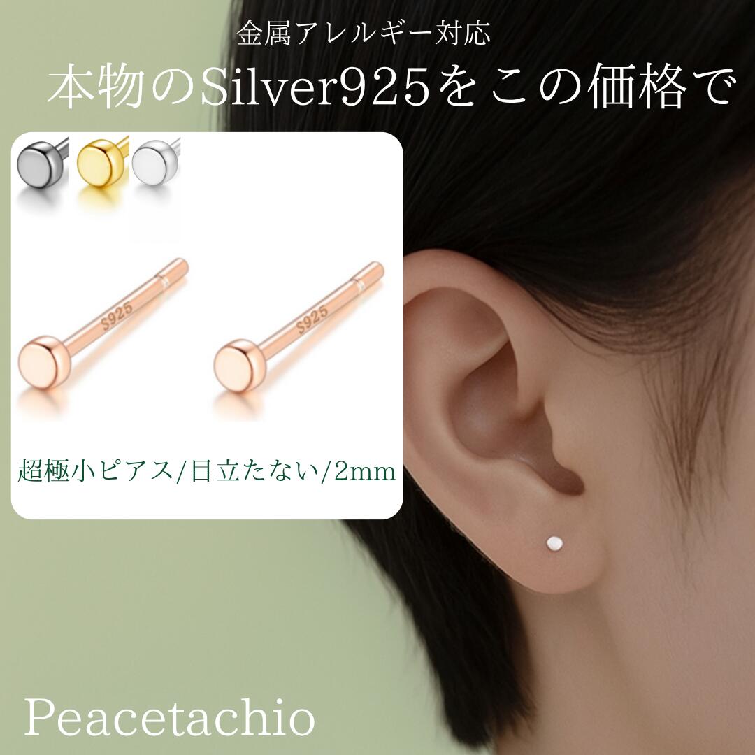 【大人気商品】 【金属アレルギー対応】 セカンドピアス Silver925 S925 シルバー925 シルバーピアス シンプル 2mm 極小 小さい 小さいピア...