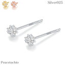 【楽天マラソン!限定価格】ピアス シルバーピアス Silver925 シルバー アレルギー対応 ミニピアス シルバーピアス プレゼント プチギフト 贈り物 収納...