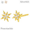 ピアス シルバーピアス Silver925 シルバー アレルギー対応 クロス CZダイヤ スター プレゼント プチギフト 贈り物 収納ケース付 Peacetac...